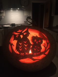 two owls carved into a pumpkin in the kitchen