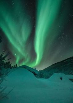 the northern lights shine brightly in the sky above snow covered trees