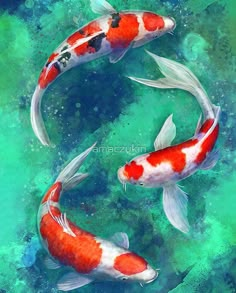 two orange and white koi fish swimming in the water on a green background with wood plank