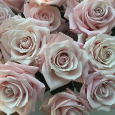 a bouquet of pink roses is shown in this image with the caption's name