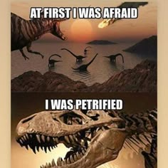 an image of dinosaurs with caption that reads at first i was afraid i was petrified