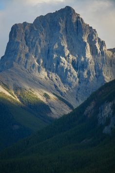 the mountains are covered in snow and green trees