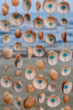 several seashells hanging from strings on the beach