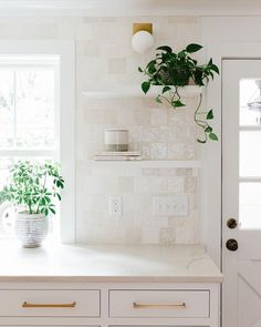 a kitchen with white cabinets and a potted plant