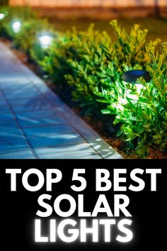 the words top 5 best solar lights on a black background with green plants and bushes