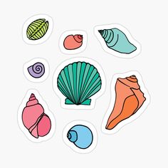 various sea shells stickers on a white background