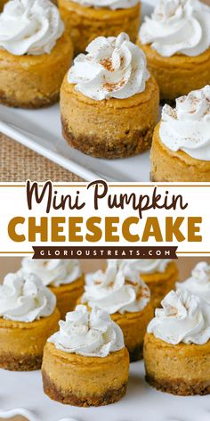 This Mini Pumpkin Cheesecake recipe combines all the cozy, spiced flavors of pumpkin pie with the creamy goodness of cheesecake, perfect for any occasion! Single serving pumpkin cheesecakes are perfect whether you’re hosting a get-together or just craving something sweet after dinner, these mini cheesecakes are easy to make and guaranteed to be a hit! Individual Pumpkin Cheesecake Cups, Pumpkin Cheesecake Tarts, Thanksgiving Desserts Pumpkin Cheesecake, Small Pumpkin Cheesecake Recipe, Mini No Bake Pumpkin Cheesecake, Thanksgiving Recipes Dessert Cheesecake, Thanksgiving Small Desserts, Small Batch Pumpkin Cheesecake, Mini Sweet Potato Cheesecake