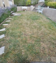 an empty backyard with grass and steps leading up to the back yard, surrounded by lavender bushes