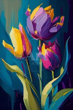 two purple and yellow tulips on a blue background