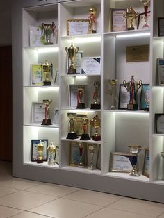 a display case filled with lots of trophies and plaques on top of white shelving