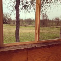 an open window overlooking a grassy field and tree