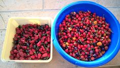 two buckets filled with berries sitting on the ground next to each other in front of a tile floor