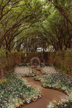 a garden with lots of flowers and trees