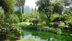 a pond surrounded by lush green trees and bushes in the middle of a park with mountains in the background