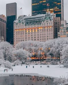 people are skating on the ice rink in central park, new york city during winter