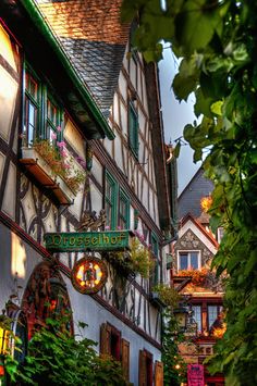 an old building with many windows and plants growing on the side of it's sides