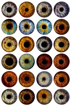 an image of many different colored eyes