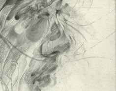 a black and white drawing of a woman's face with hair blowing in the wind