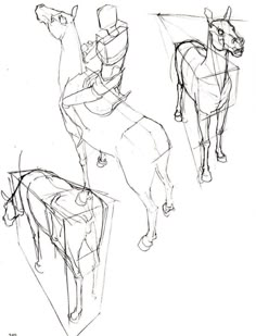 three drawings of horses standing next to each other