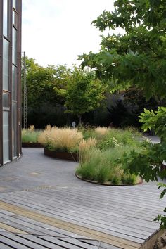 a wooden deck surrounded by plants and trees