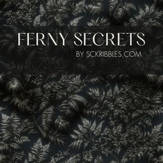 ferny secrets by scribbles com on the cover of their latest book