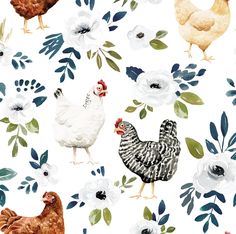 chickens and flowers on a white background