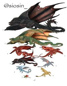 several different types of dragon like creatures in various colors and sizes, all with wings spread out