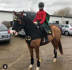 a person riding on the back of a brown horse in a parking lot with other cars