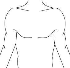 the outline of a man's torso and chest