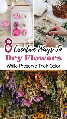 8 creative ways to dry flowers while preserve their color in the spring or summertime