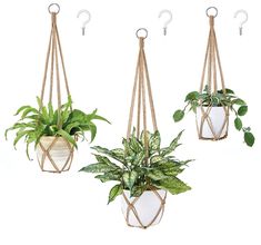 PRICES MAY VARY. Modern and Unique: The macrame planter holder specailly designed with hand knotted, bring a boho element to your home decor. Perfect design to show your lovely plants, simple and meticulously hand-crafted, beautify any indoor outdoor corner spaces. Home Decoration: Boho handmade hemp rope design flower pots hanger great for home bedroom decor, such as living room, kitchen, balcony, porch, window, garden, hallway. Make your life become unique. Application: 3 Different size indoor Flower Pot Crochet, Crochet Plant Holder, Pot Crochet, Hanging Ferns, Flower Pot Hanger, Macrame Hanging Planter, Macrame Planter, Hanging Planters Indoor, Planter Basket