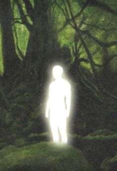 a blurry image of a person standing in the middle of a forest with trees