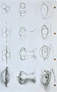 a bunch of drawings that are on top of a piece of paper