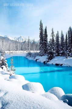 a blue lake surrounded by snow covered trees