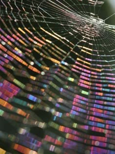 a spider web in the middle of a blurry background with lots of colors on it