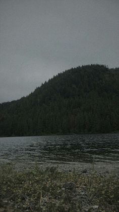 a large body of water sitting next to a lush green forest covered hillside on a cloudy day