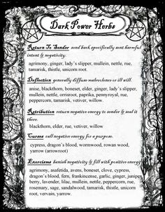 Dark Moon Magic Magickal Herbs, Witch Herbs, Black Magick, Dark Power, Magic Herbs, Magick Spells, Magical Herbs