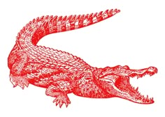 an alligator is shown in red ink on a white background, it appears to be from the late 19th century or early 20th century