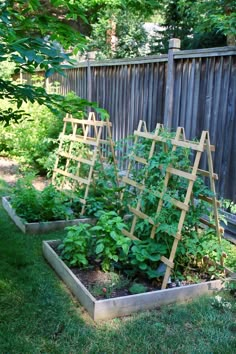 an outdoor garden with several plants growing in the planter boxes and trelliss