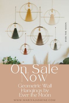 an advertisement for the sale of ceramic wall hangings by ever the moon