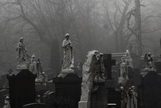 a cemetery with many headstones and statues in the foreground on a foggy day