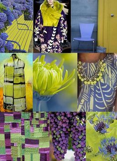 a collage of photos with different colors and patterns on them, including flowers, leaves, vases, and fabrics