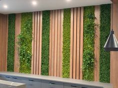 a kitchen with a wall covered in green plants