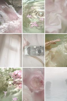 several different pictures of water and flowers in the same photo, each with a digital camera