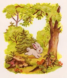 an illustration of a rabbit in the woods