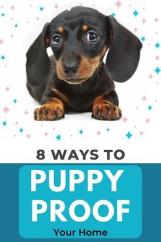 a puppy sitting on top of a blue and white background with the words 8 ways to puppy proof your home