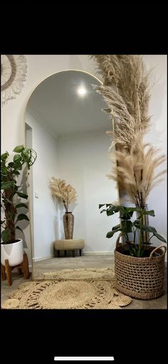 a mirror and some plants in a room