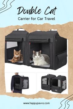 the double cat carrier for car travel has two cats in it and one is sitting inside