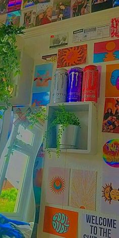 there is a potted plant on the shelf in front of some posters and pictures