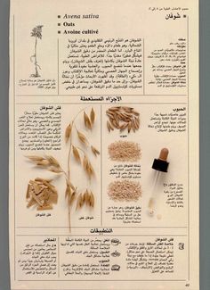 الكامل في الأعشاب والنباتات الطبية موسوعة ملونة رائعة : Free Download, Borrow, and Streaming : Internet Archive Health Facts Food, Health Fitness Nutrition, Arab Beauty, Nail Fungus, Illustration Vintage, Natural Health Remedies, Health Facts, Download Books, New Things To Learn